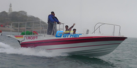 25FT PARASAIL BOAT Single Person Model HD760T