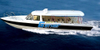 Hard-Top 38FT Passenger Boat Commercial Use